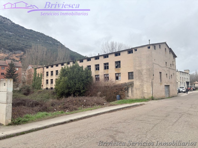 Venta FINCA en BRIVIESCA en CTRA.  OÑA, CTRA. TAMAYO ANTES PARAJE BARRANQUILLO