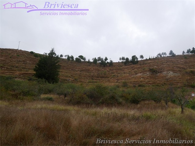 Venta Finca zona Las Quintanas,  Briviesca Inmobiliaria _4