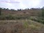 Venta Finca zona Las Quintanas,  Briviesca Inmobiliaria _1
