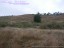 Venta Finca zona Las Quintanas,  Briviesca Inmobiliaria _2